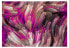 Фото #1 товара Fototapete Purple Energy