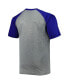 Men's Heather Gray Tampa Bay Lightning Big and Tall Logo Raglan T-shirt Серый, 6xb - фото #4