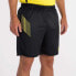 VIBORA Team Shorts