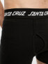 Santa Cruz strip boxer brief in black