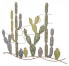 Фото #1 товара Tafel mit Kaktus