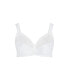 Фото #1 товара Plus Size Lace Soft Cup Wire Free Bra - white