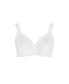 Plus Size Lace Soft Cup Wire Free Bra - white