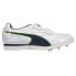 Фото #1 товара Puma Evospeed Triple Jump Pv 8 Sp Track And Field Mens Size 14 M Sneakers Athle