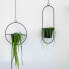 Фото #7 товара Аксессуары для цветов adorist Hängetopf Hanging Garden Rund, schwarz