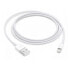 Фото #2 товара APPLE Lightning To USB 2.0