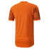 PUMA FTBLPLAY Graphic short sleeve T-shirt