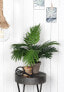 Фото #2 товара Kunstpflanze Areca-Palme