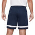 Фото #3 товара Nike Dry Academy 21 M CW6107-451 shorts