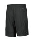 ფოტო #3 პროდუქტის Big Boys Anthracite North Carolina Tar Heels Performance Fly Shorts