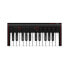 Фото #1 товара IK Multimedia iRig Keys 2 Mini