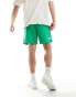 The North Face Watershort logo swim shorts in green