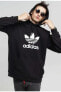 Фото #1 товара Толстовка Adidas Originals TREFOIL расшитая мужская