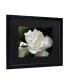 Kurt Shaffer Lovely Gardenia Matted Framed Art - 15" x 20"