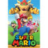 Фото #1 товара Постер с персонажами Nintendo Super Mario от Pyramid International.