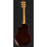 Taylor 414ce Special Edition 50th Ann