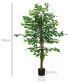 Фото #5 товара Künstliche Ficus-Pflanze 830-799V00GN