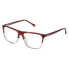 Фото #1 товара Очки LOEWE VLWA16M5301EV Eyewear