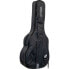 Фото #1 товара Ritter Bern Super Jumbo Guitar ANT