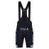 GOBIK Absolute Santa Cruz 2024 Bib Shorts