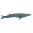 SAFARI LTD Sei Whale Figure