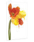 Orange Yellow Parrot Tulip on White Frameless Free Floating Tempered Glass Panel Graphic Wall Art, 48" x 32" x 0.2"