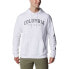 Фото #1 товара COLUMBIA CSC Basic Logo™ hoodie