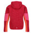 Фото #4 товара REGATTA Dissolver VIII fleece