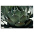 Wandbilder Kaktus Kakteen Grün Blumen