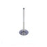 Фото #1 товара ATHENA VE-250206T Exhaust Valve