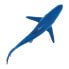 Фото #4 товара Фигурка акулы Safari Ltd. Blue Shark