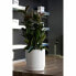 Горшок для цветов Plastiken Self-watering flowerpot White 48 cm
