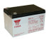 Фото #1 товара Yuasa NP24-12 аккумулятор для ИБП Герметичная свинцово-кислотная (VRLA) 12 V
