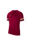 Фото #4 товара Cw6101 Dri Fit Academy T-shirt Bordo