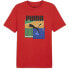 ფოტო #1 პროდუქტის PUMA Graphics Summer Sport short sleeve T-shirt