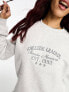 Miss Selfridge sweatshirt with college embroidery in grey marl