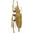Фото #9 товара Wandschmuck Longicorn Beetle