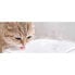 XIAOMI BHR6161EU Cat Drinking Fountain - фото #5