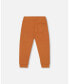 Фото #2 товара Boy French Terry Pant Spicy Brown - Child