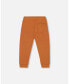 Boy French Terry Pant Spicy Brown - Child