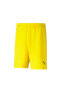 Teamrise Short Erkek Futbol Maç Şortu 70494207 Sarı