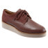 Фото #2 товара Softwalk Willis S1811-255 Womens Brown Oxfords & Lace Ups Casual Shoes 5