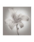 Фото #1 товара James Mcloughlin Tiger Lily I Canvas Art - 20" x 25"