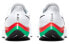 Nike Pegasus 37 Eliud Kipchoge DD9481-100 Running Shoes