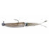 SAVAGE GEAR 3D Swim Squid Soft Lure 95 mm 5g 4 Units