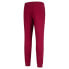 Фото #2 товара LONSDALE Eriboll Tracksuit Pants