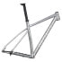 Фото #3 товара SPECIALIZED Chisel HT 2023 MTB Frame