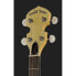 Фото #6 товара Gold Tone CC-100R 5 String Banjo