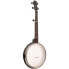 Фото #1 товара Gold Tone AC-12A Oldtime SC 5 St Banjo