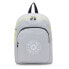 KIPLING Curtis M 18L Backpack